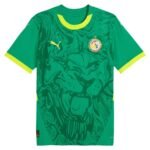 Senegal AFCON Away Shirt 2025/26